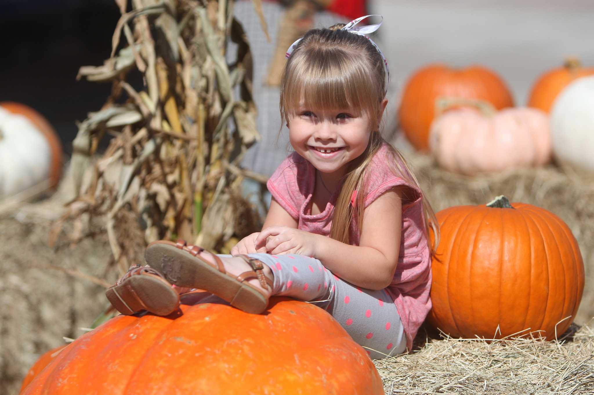 Scenes from Vintage Park's fall festival