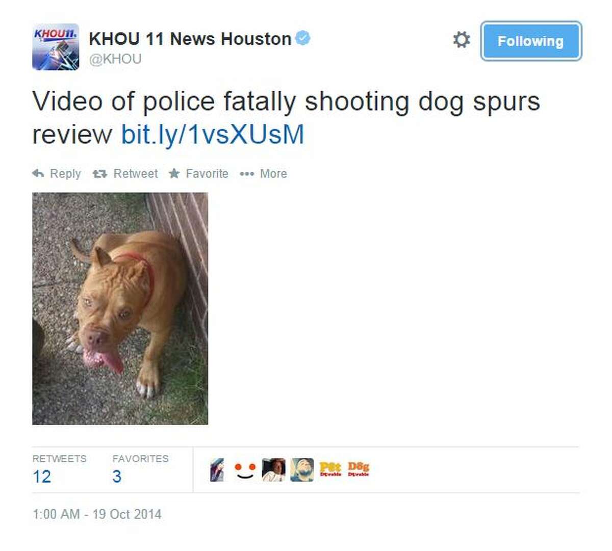 Texas police officer cleared of shooting, killing dog (w/ video)