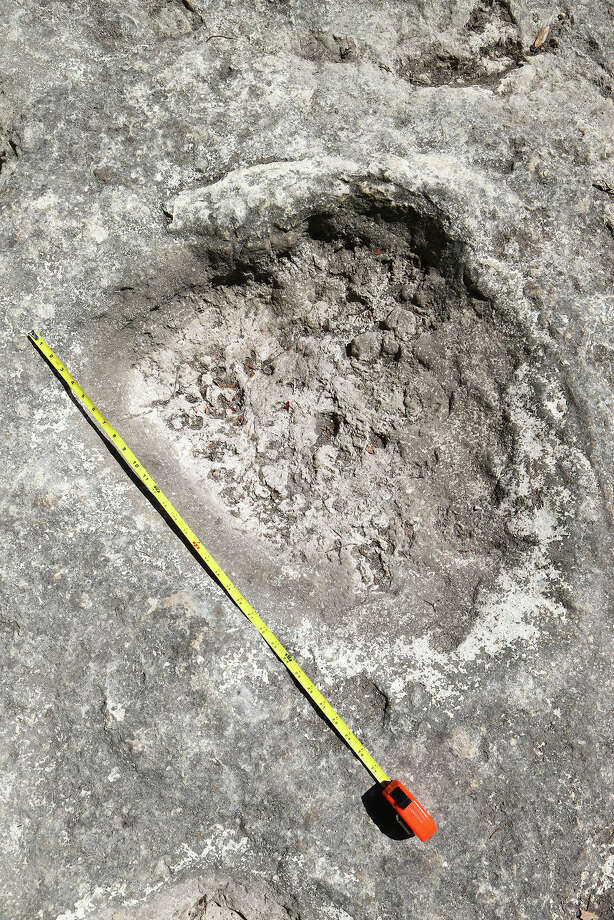 Grapevine Lake's receding high water reveals fossilized dinosaur tracks