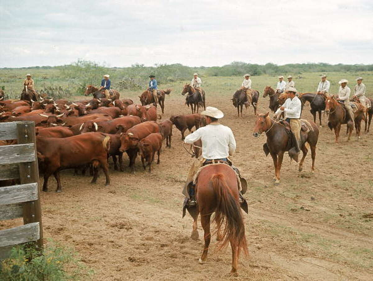 tours of king ranch