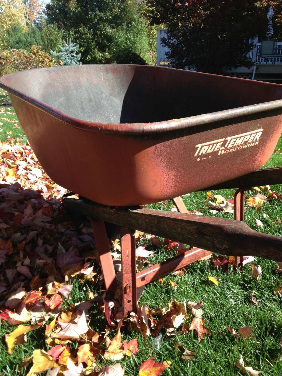 Seasons of life: In praise of a red wheelbarrow