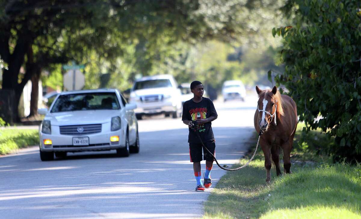 Darius Robinson, 11, walks his horse Tuesday near where an SUV hit a horse and rider Sunday night.