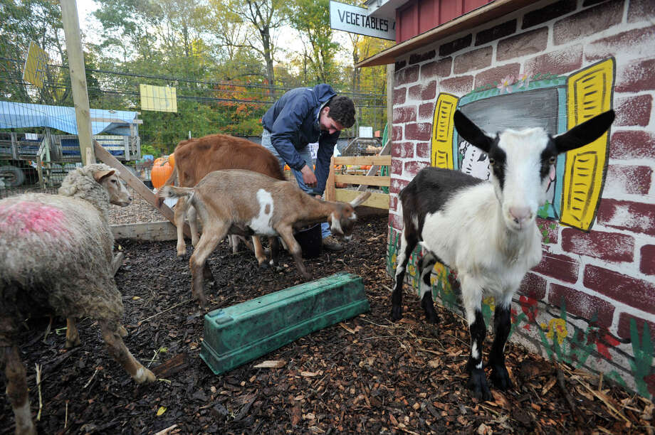 Farm grows community spirit StamfordAdvocate
