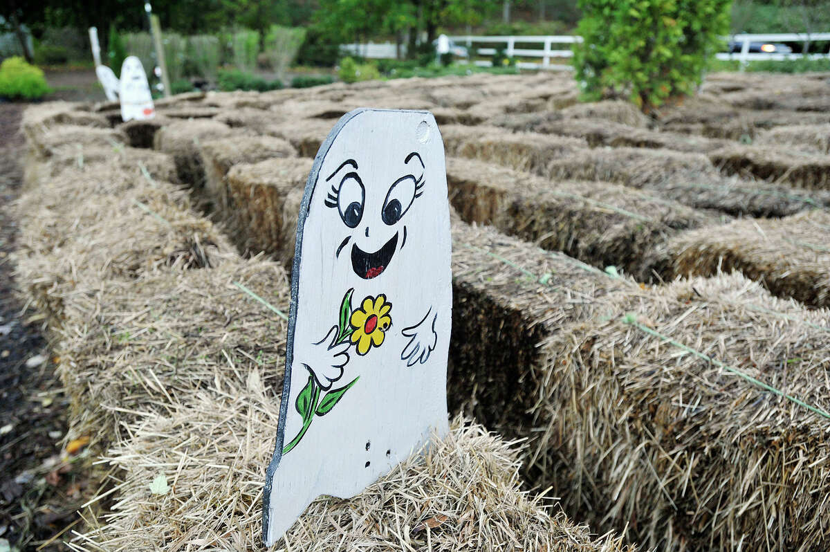 Farm grows community spirit