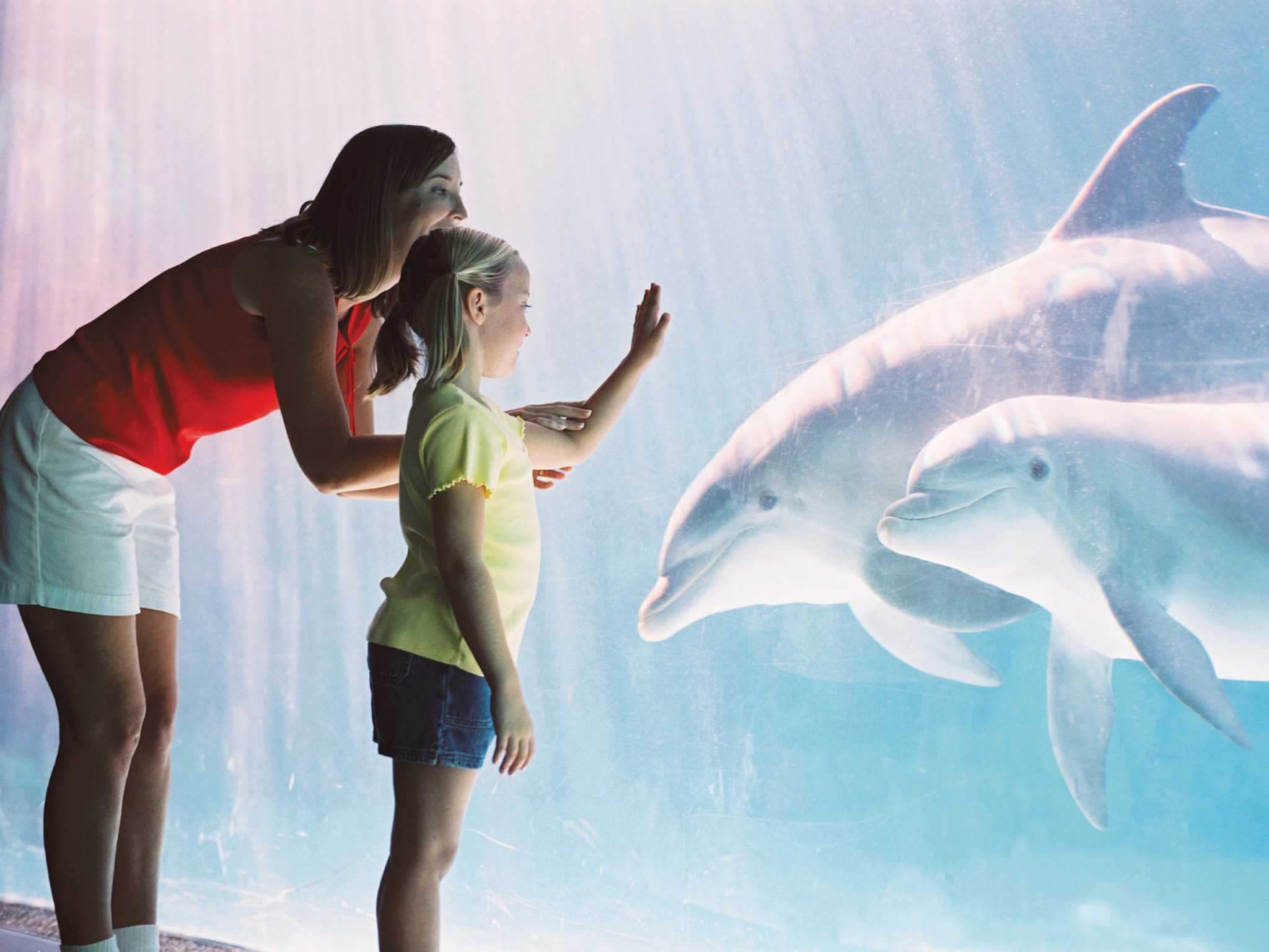 SeaWorld San Antonio moves forward with expansion plans