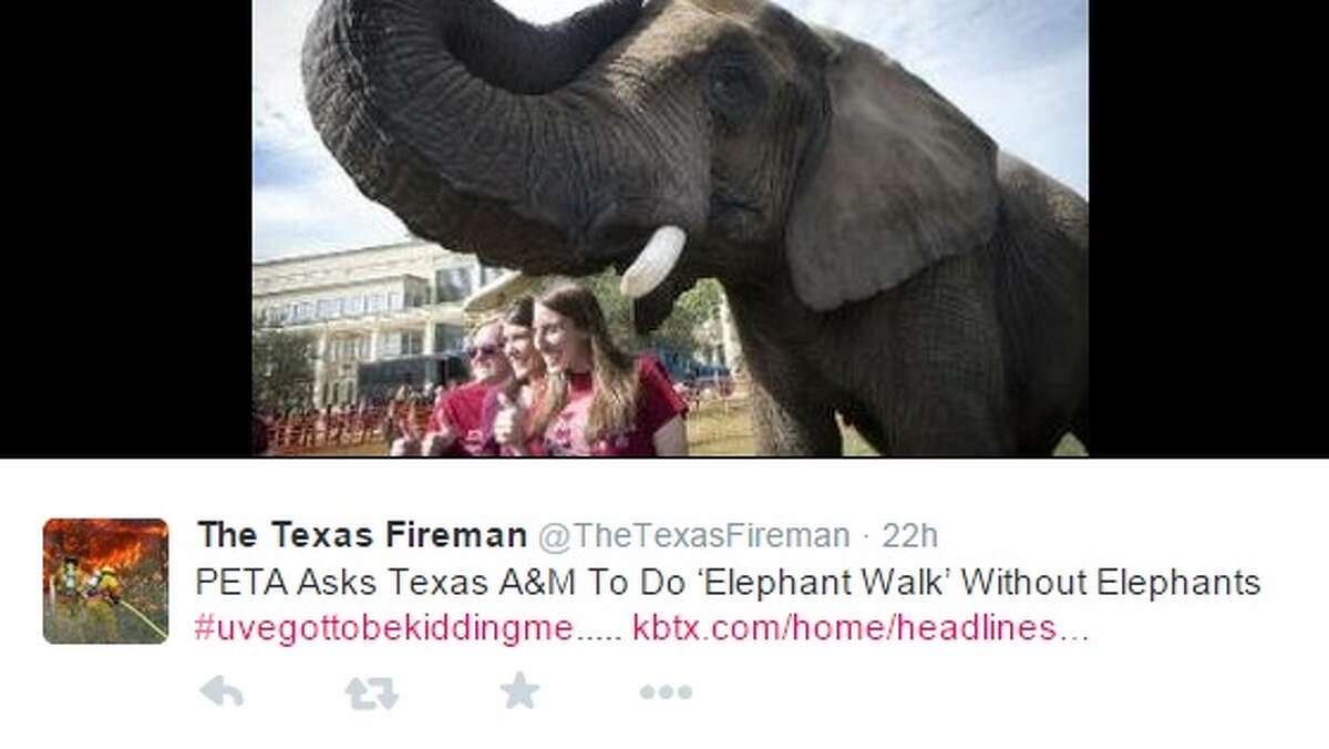 PETA, or People for the Ethical Treatment of Animals, has asked Texas A&M University-College Station to stop using live elephants during the traditional Elephant Walk. PETA claims the tradition is "archaic" and supports "industry of cruelty and abuse."