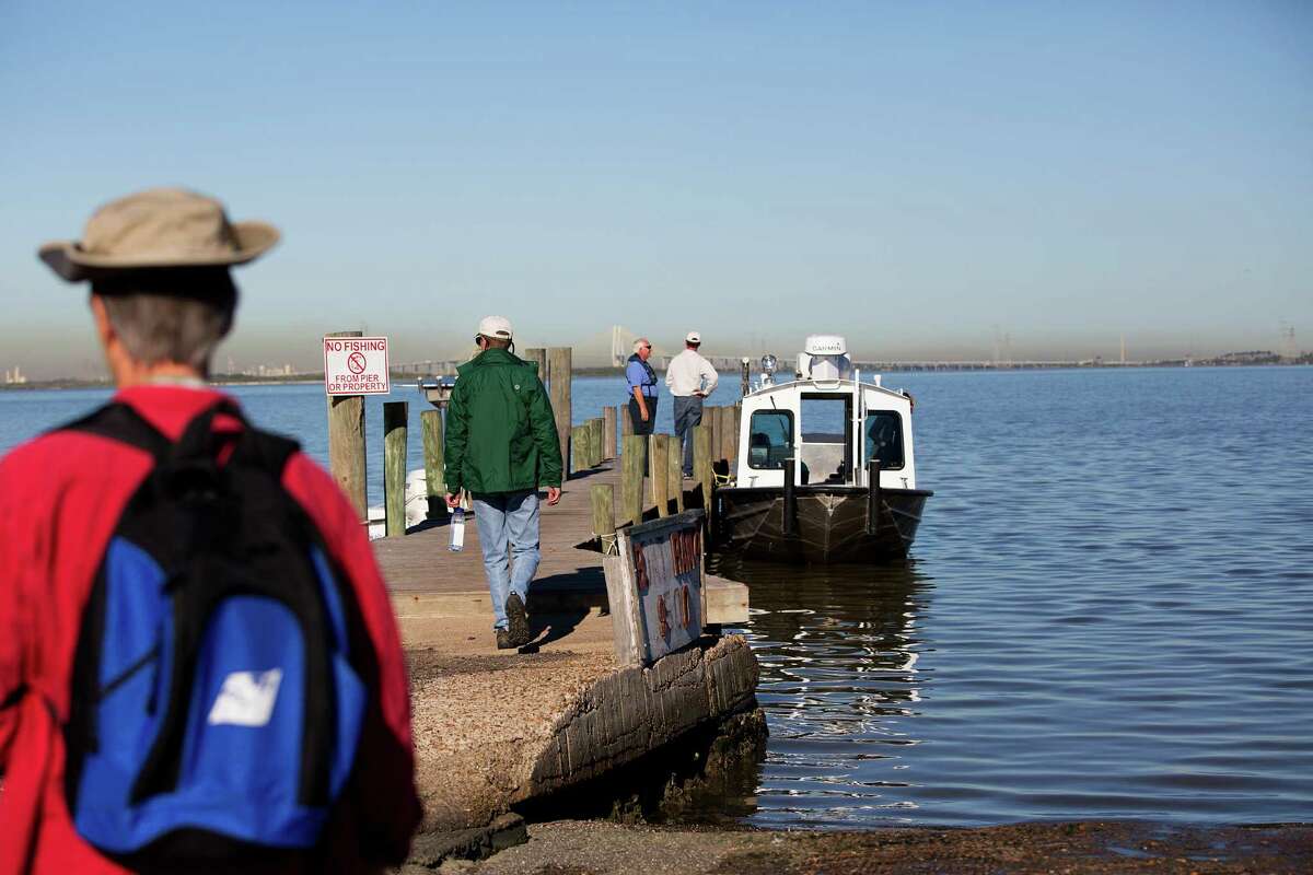 Deaths of tiny clams in Galveston Bay may portend problems