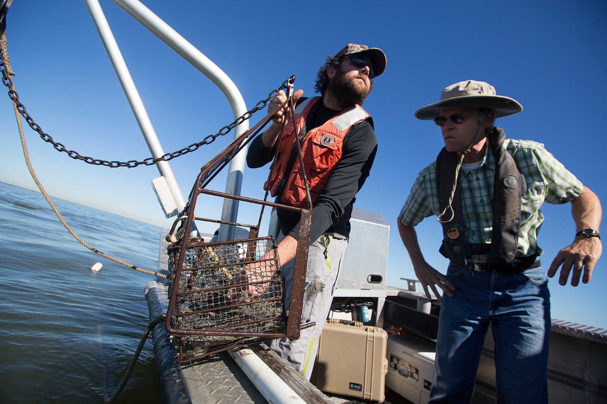Deaths of tiny clams in Galveston Bay may portend problems