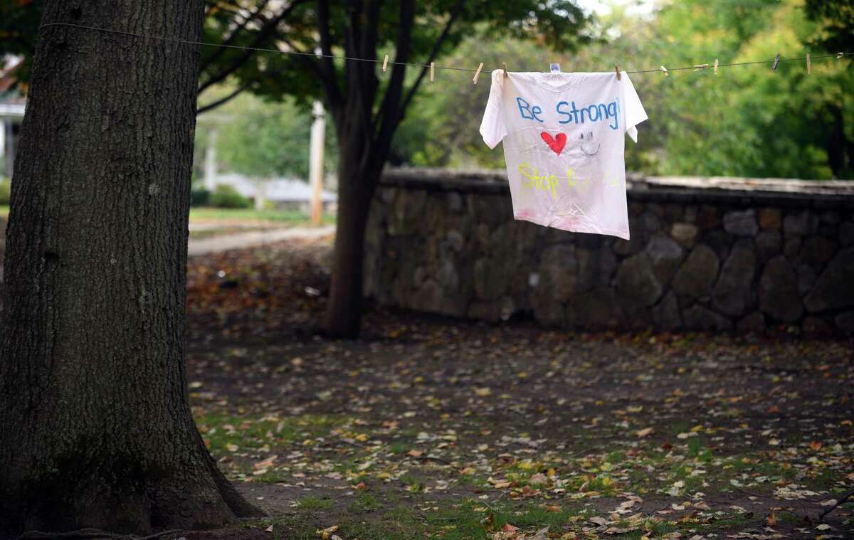 7th Annual Clothesline Project in Trumbull targets domestic violence