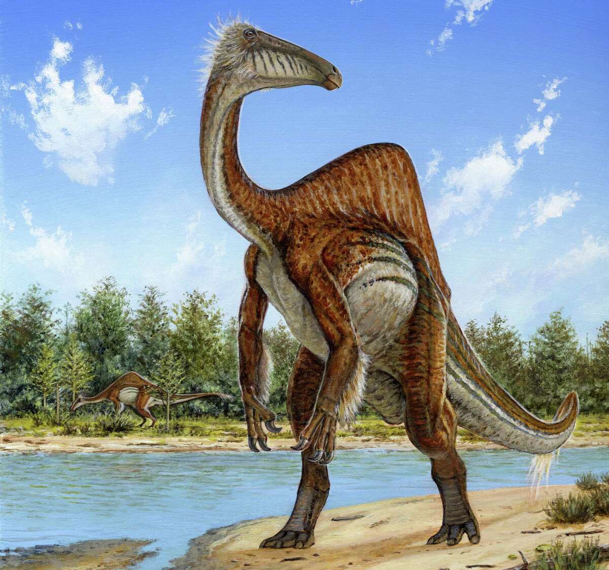 dinosaur with fin on its head