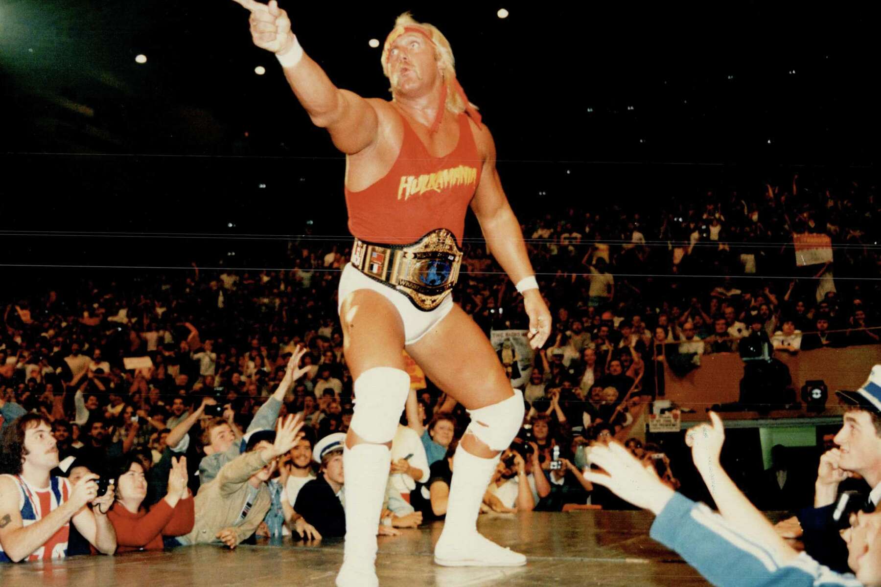 Hulk Hogan Yearbook Picture Hulk Hogan Yearbook Picture