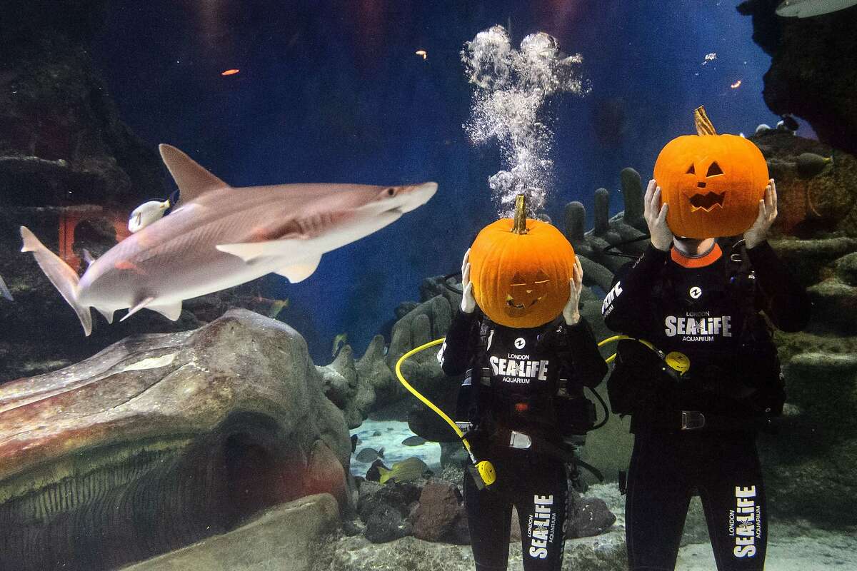 Day in Pictures, Oct. 28, 2014