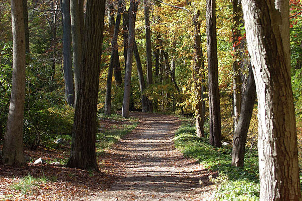 Bartlett Arboretum Visitors can take on 93 acres of serene landscape in Stamford at Bartlett Arboretum. With nine trails to choose from, there's no shortage of hiking and biking space to be had. The Poorhouse Brook runs straight through the Arboretum allowing visitors to take a slow stroll along the water and hit the peddles across the park. www.bartlettarboretum.org
