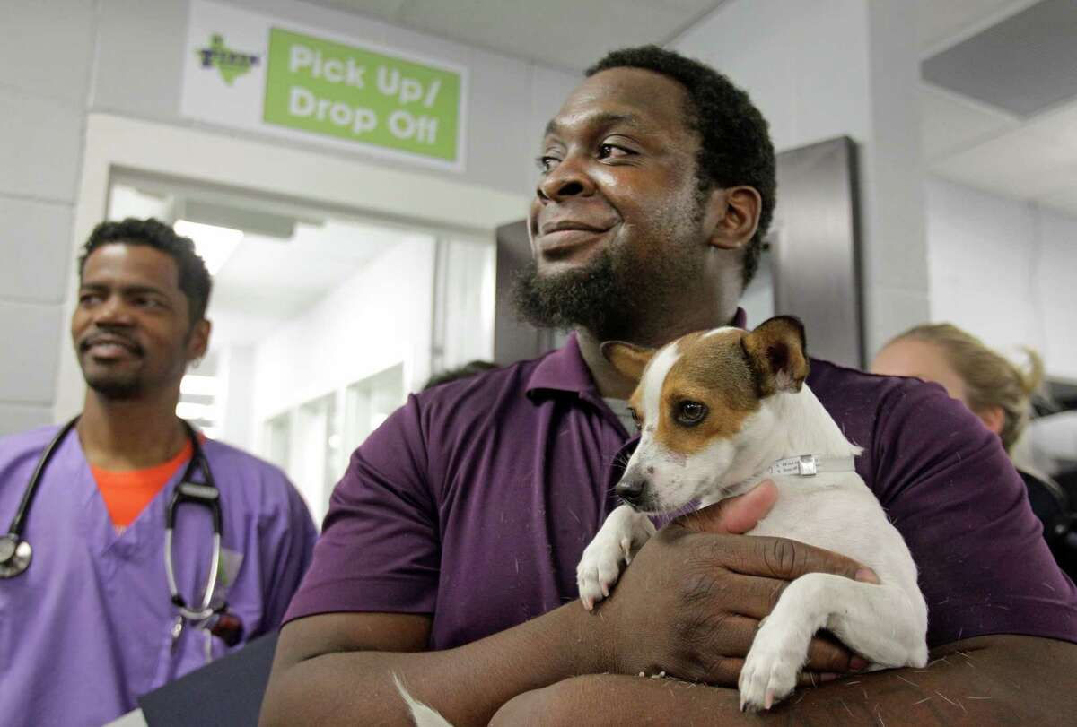 Houston offers affordable spaying and neutering services