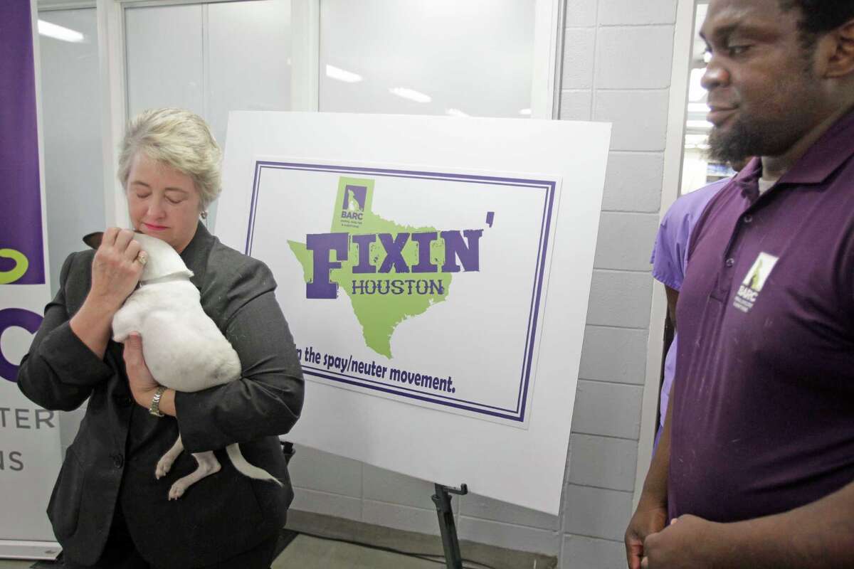 Houston offers affordable spaying and neutering services