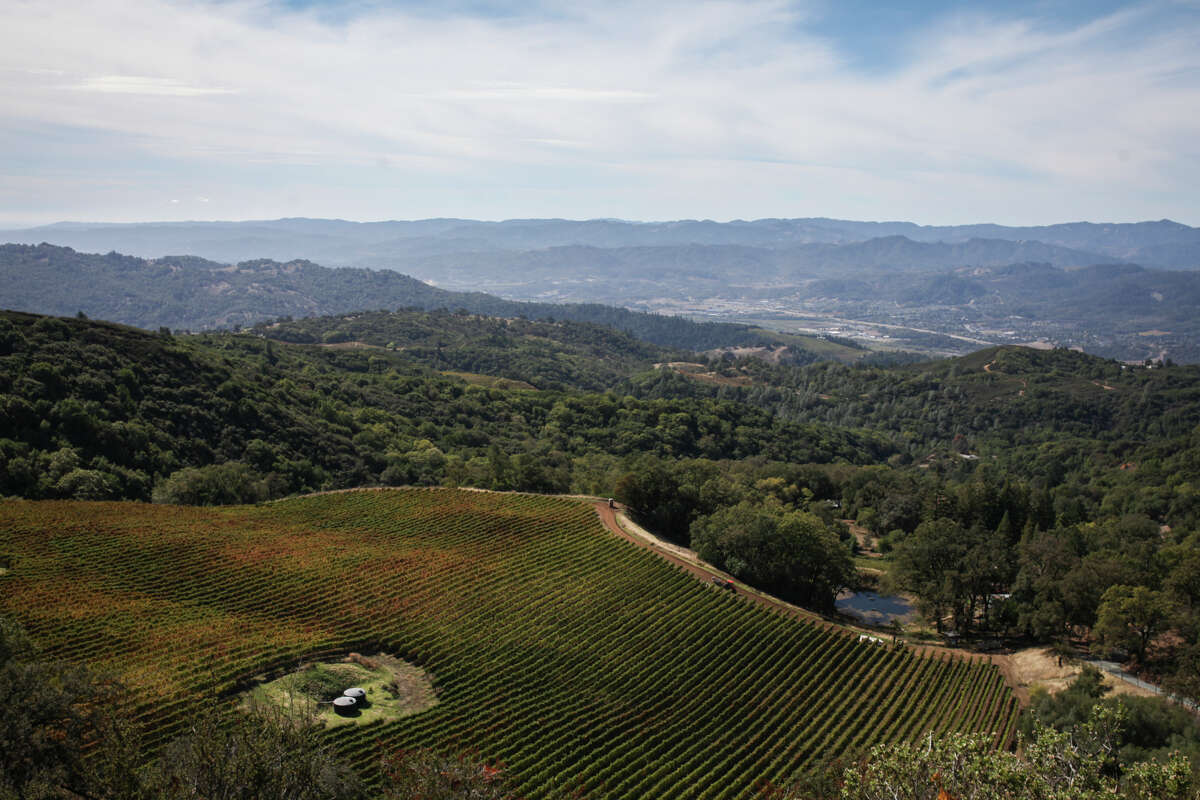 Pine Mountain Vineyards is part of the recently approved Pine Mountain-Cloverdale Peak appellation.