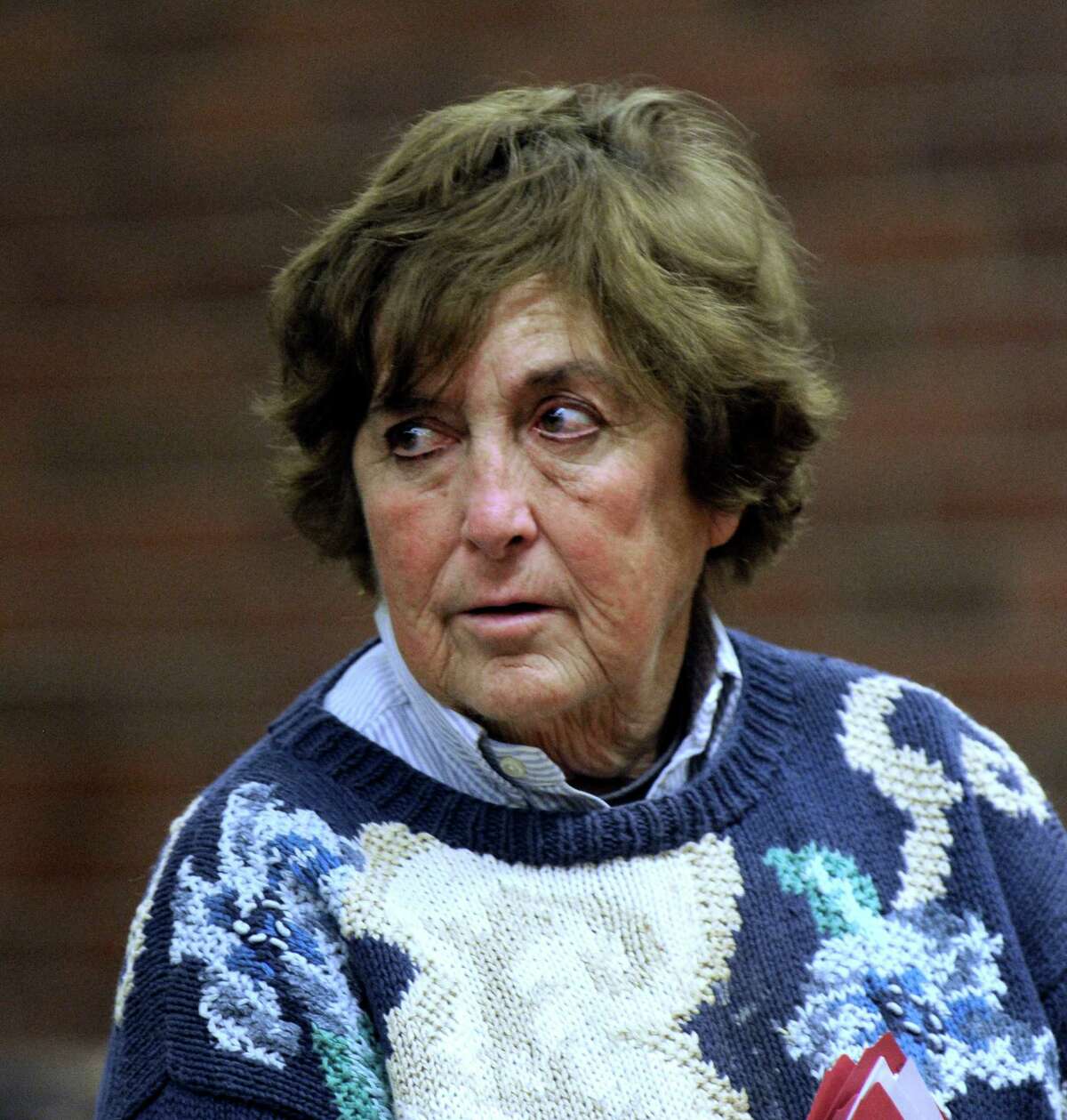 Lisa Lind-Laren, 75, of Redding, Conn., made an appearance at the Danbury Superior Court Tuesday, Nov. 4, 2014, for a pre-trial hearing in her animal cruelty case. She was charged after two "severely emaciated" horses were seized from her home in July, according to the state Department of Agriculture.