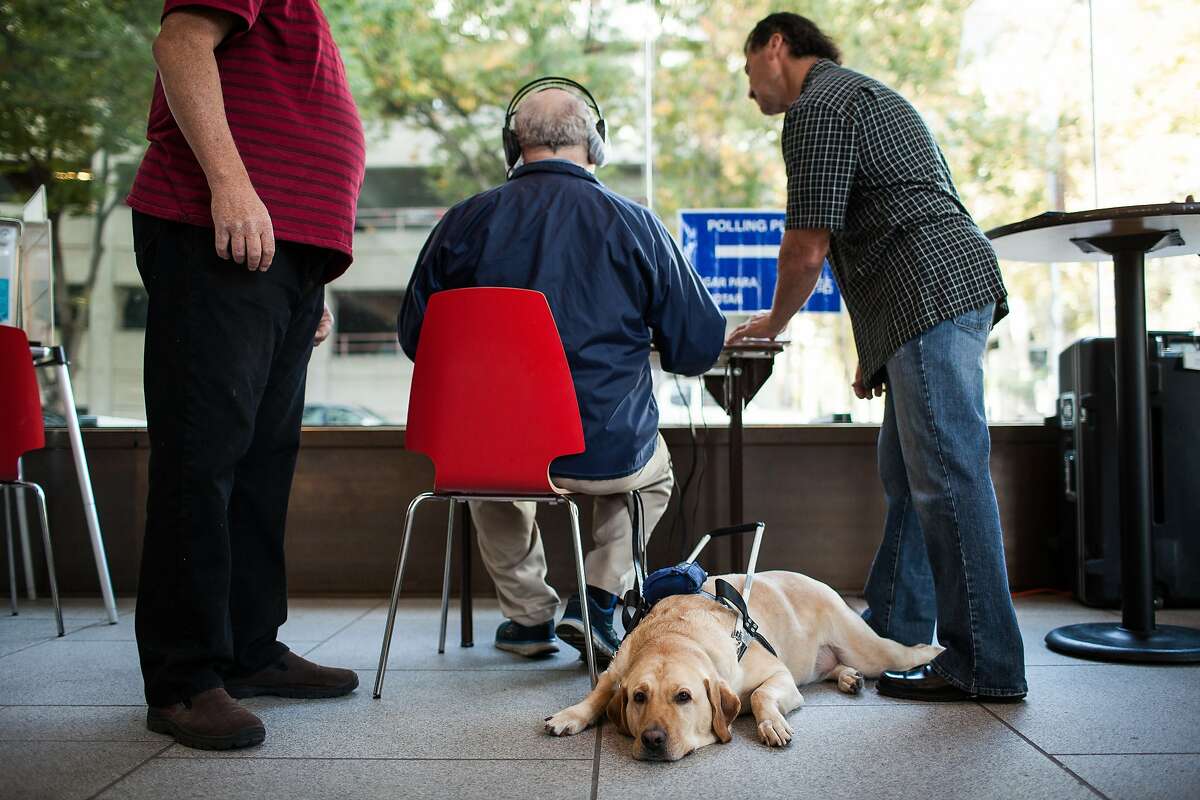 Dan Kysor's guide dog, Harry, lies next to him as poll workers help him vote using an adaptive computer at the California Museum in Sacramento, California, November 4, 2014.