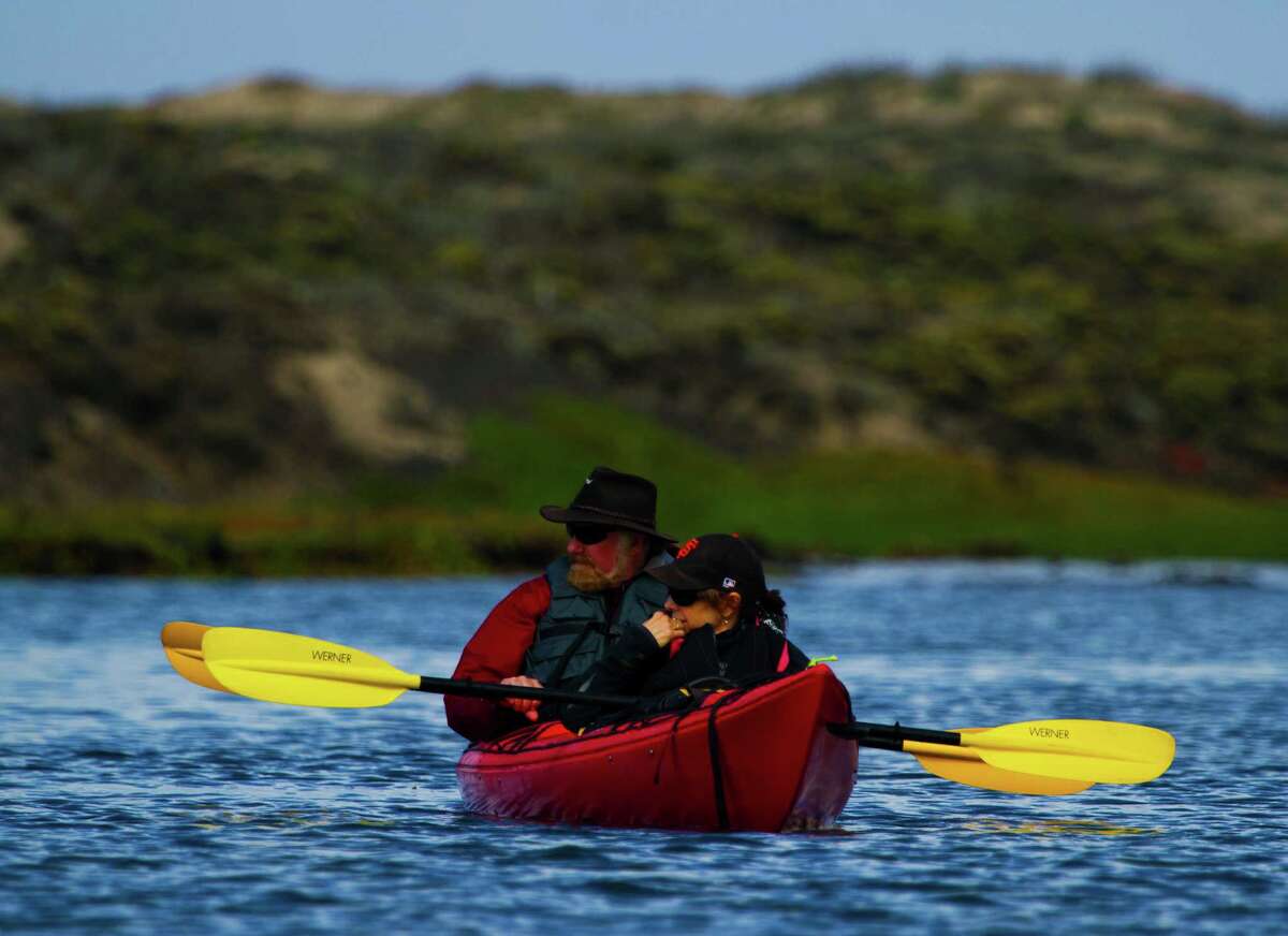 Getting up close and personal with otters of Elkhorn Slough