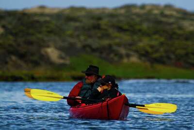 Getting Up Close And Personal With Otters Of Elkhorn Slough