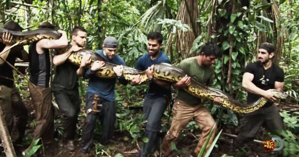 Paul Rosolie, a filmmaker and naturalist, built a custom snake-proof suit so he could be devoured by an anaconda for a Discovery Channel television special. A YouTube promo for the Dec. 7 special — titled, predictably, "Eaten Alive" — shows Rosolie stalking an anaconda, otherwise minding its own business, before it presumably attacks and eats him.