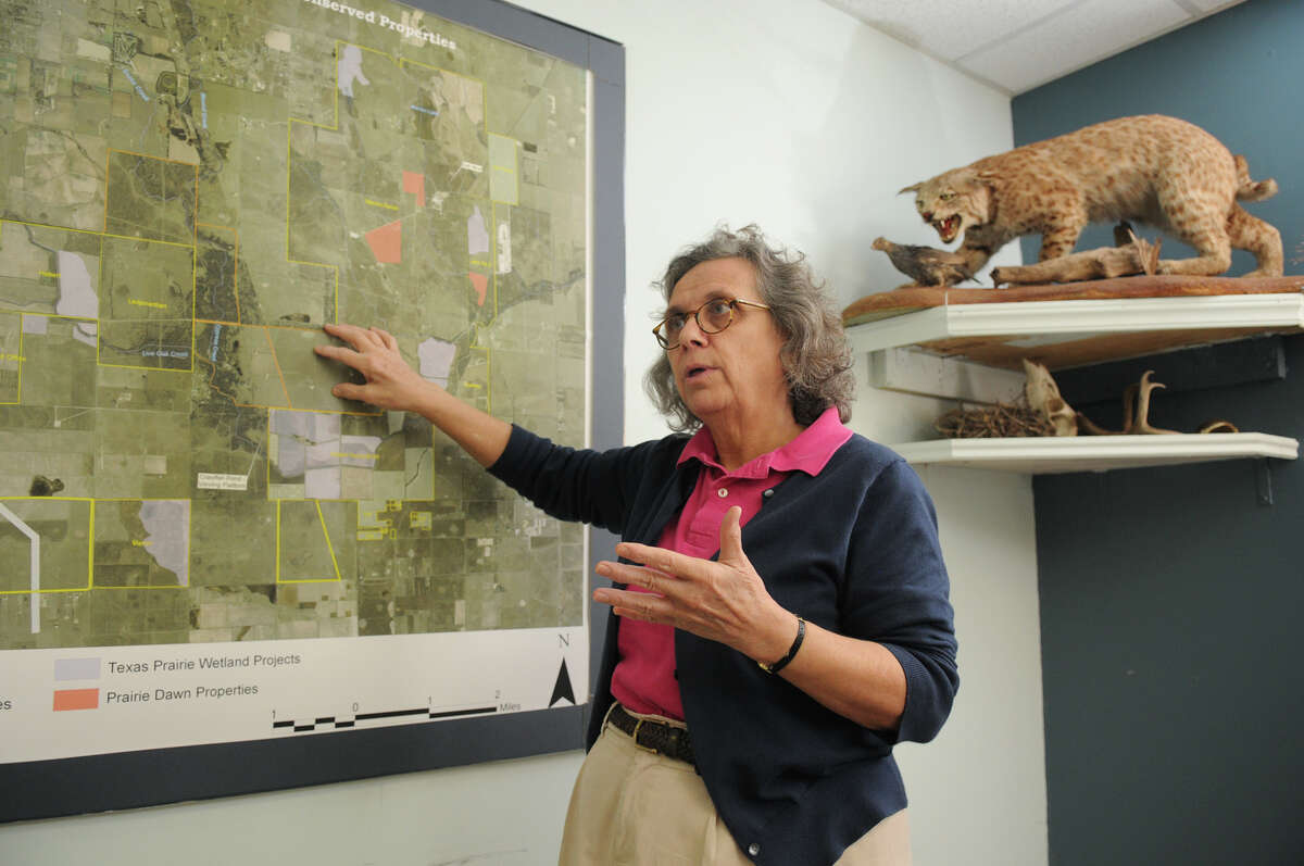 Mary Anne Piacentini, Executive Director of the Katy Prairie Conservancy, discusses the proposal of an electric line that may cross the prairie in Waller.