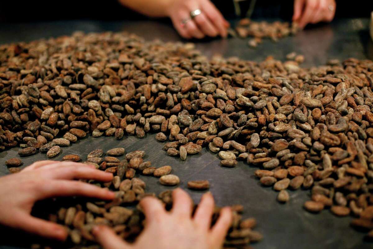 At Dandelion Chocolate in S.F. top, cocoa beans are sorted by hand.