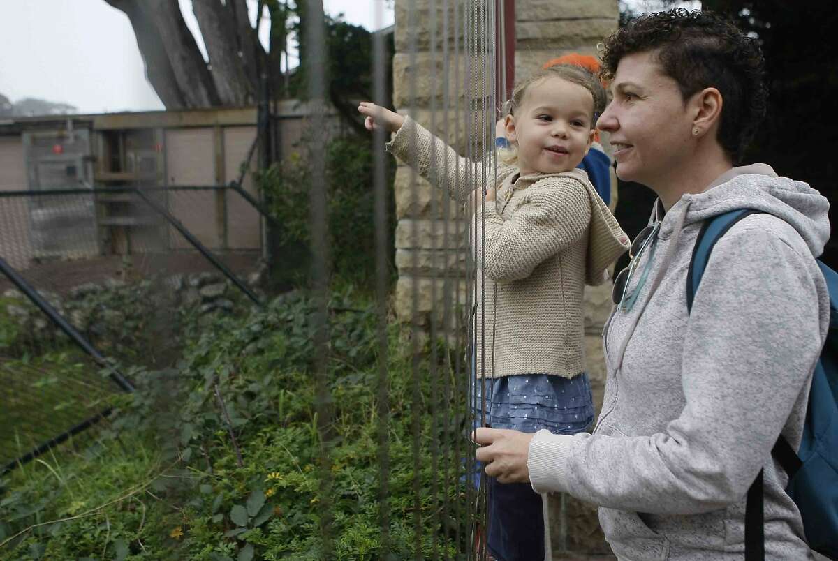 Anais Bearns (left) and her aunt, Emmanuelle Antolin of San Francisco , look at animals through a fence near the entrance of the San Francisco Zoo in San Francisco, Calif. Sunday, November 9, 2014, a day after Kabibe, a baby gorilla, was fatally crushed by a hydraulic door.