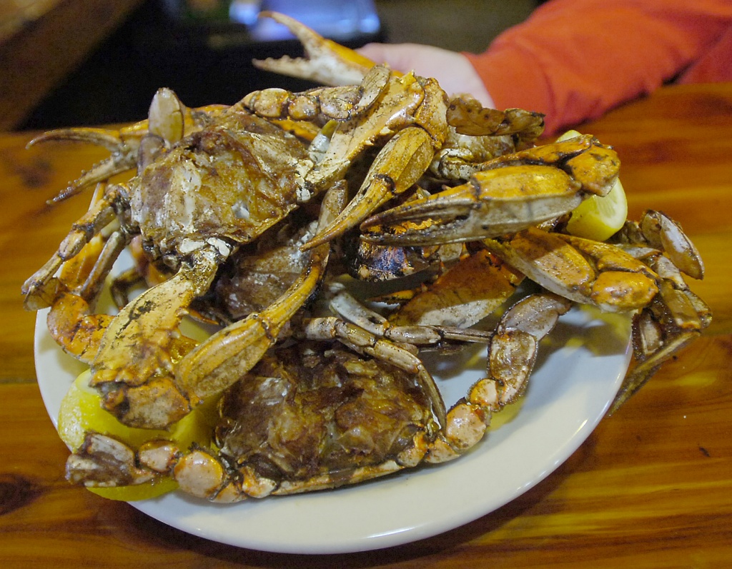 Popular seafood spot closes doors