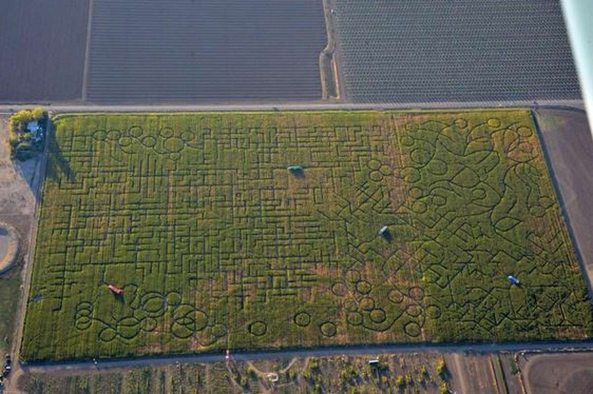 An undated overhead shot of the Cool Patch Pumpkins corn maze in Dixon, Calif. In a few instances, confused maze-goers have dialed 911 to get help navigating the labyrinth.