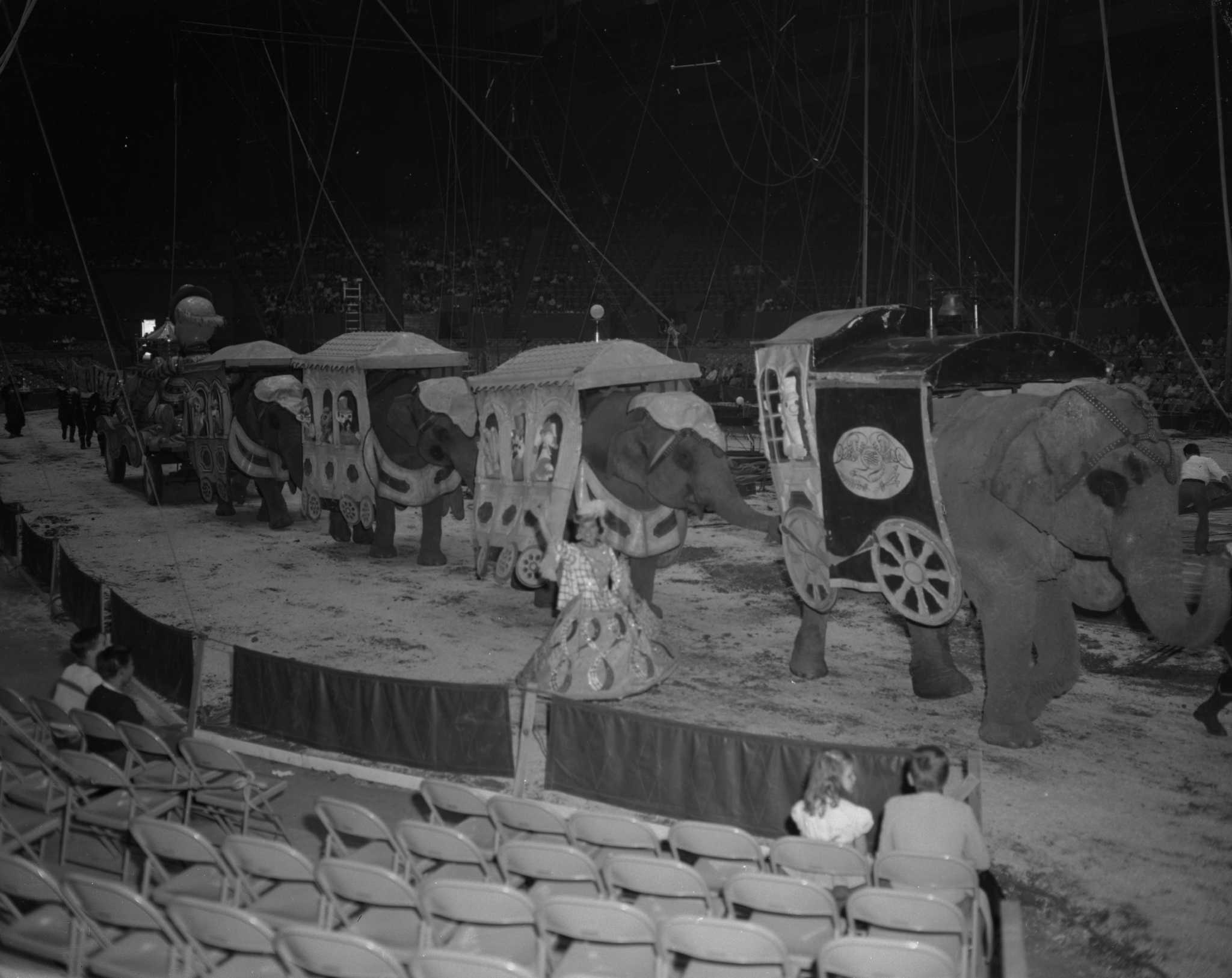 Beer and circus thesis 04 image