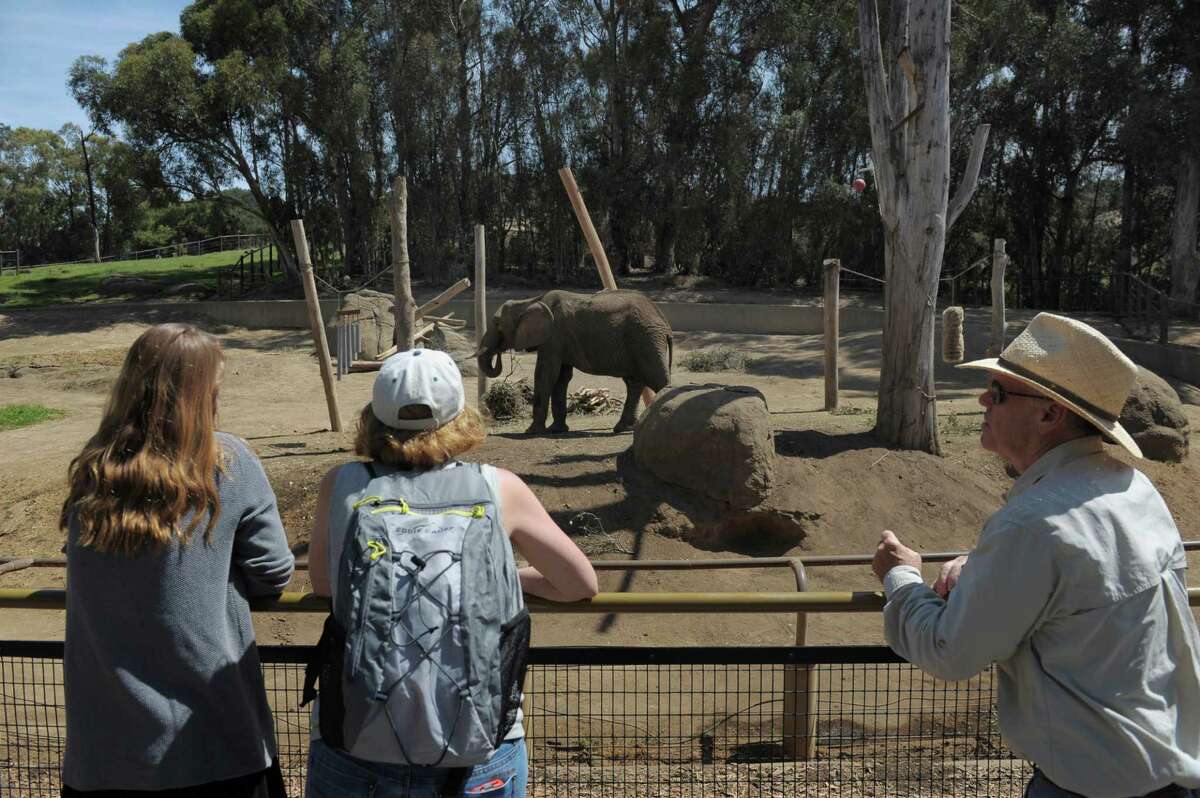 Oakland Zoo close to final OK for California Trails expansion