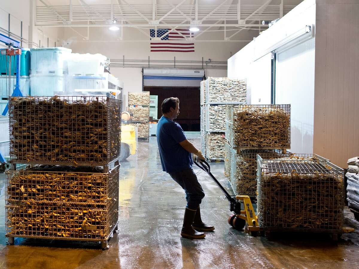 Commercial crab season kicks off; let the holidays commence