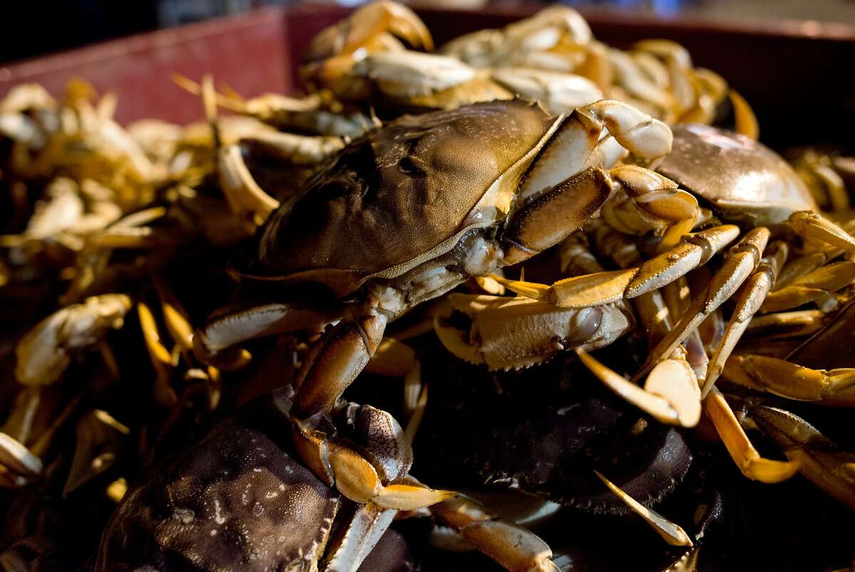 Commercial crab season kicks off; let the holidays commence