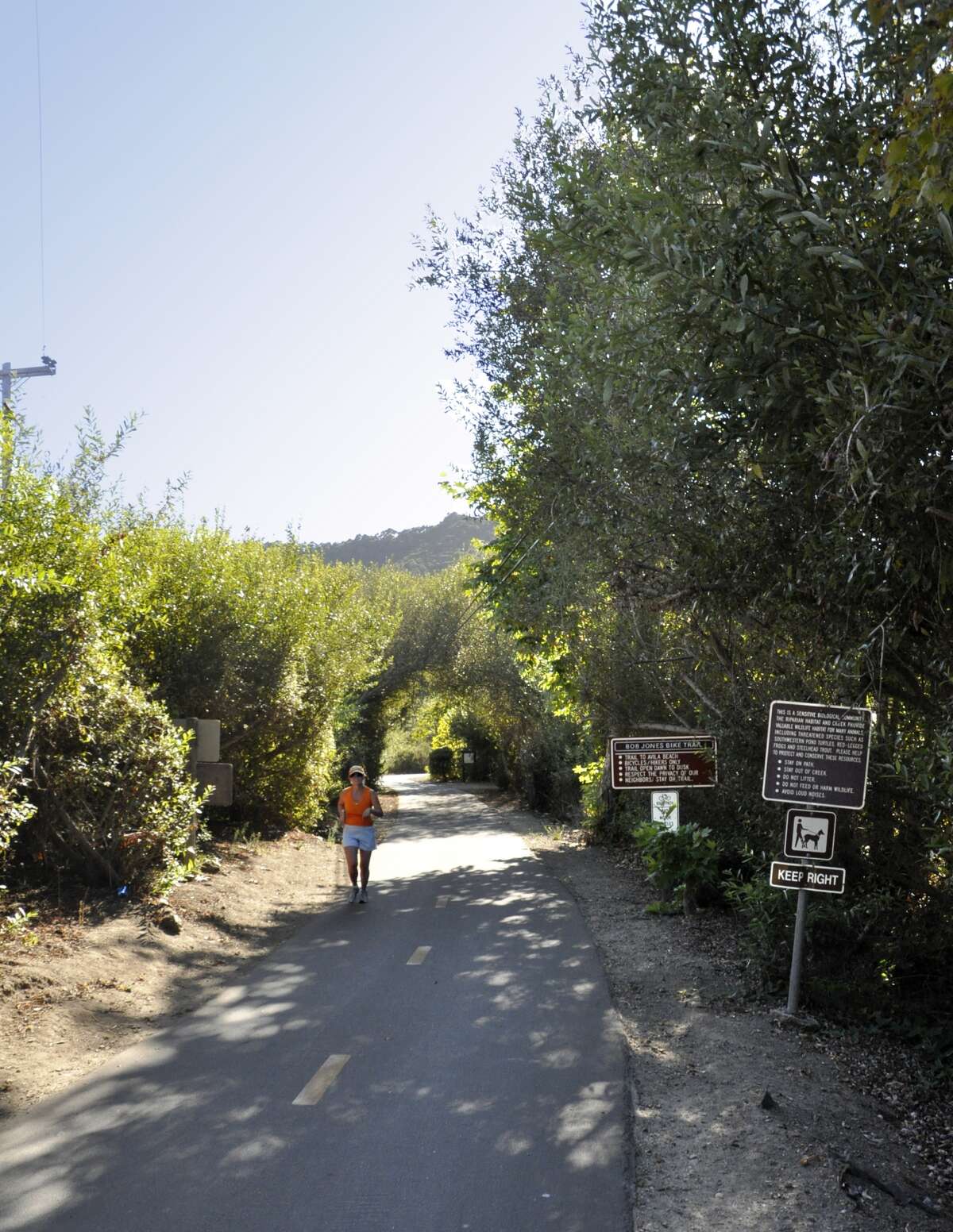 Bob Jones Trail, Avila Beach: Officially a bike path, this winding, forested "City to the Sea" trail also takes hikers and joggers along 12 miles of the old Pacific Coast Railroad right-of-way. The 2.5-mile section from Ontario Road (exit Highway 101 at San Luis Bay Drive) to Avila Beach and the ocean is a meandering, forested path following San Luis Creek that's popular with families and is dog-friendly.