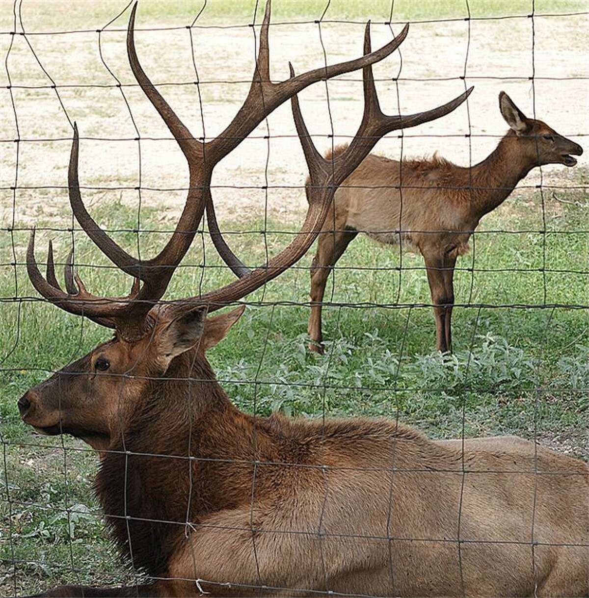 Hunter's paradise on the market in Texas for 6.2 million