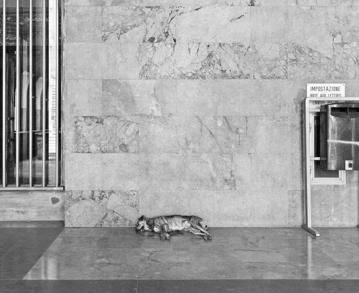 John Riddy's "Palermo" series of photographs do not have people in them, although a sleepy dog wandered into the frame for "Palermo (Palazzo Delle Poste)."