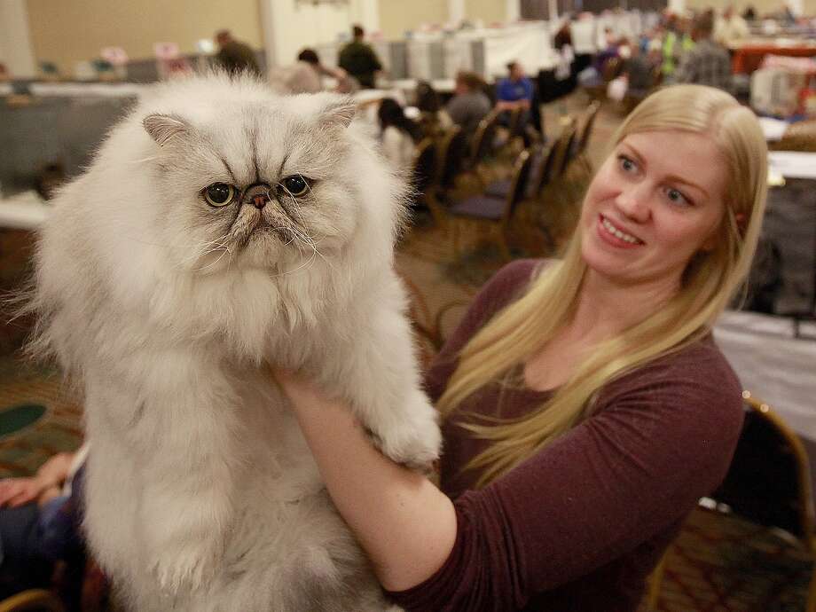 Day in Pictures, Nov. 24, 2014 - San Antonio Express-News