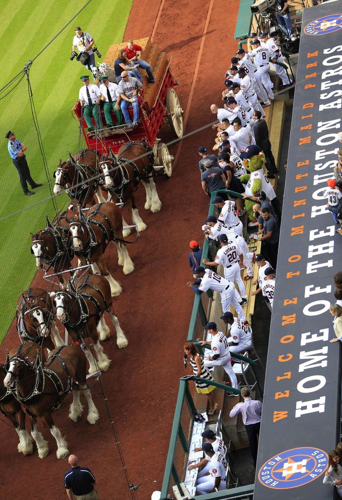 Budweiser gives Clydesdales holiday pink slip