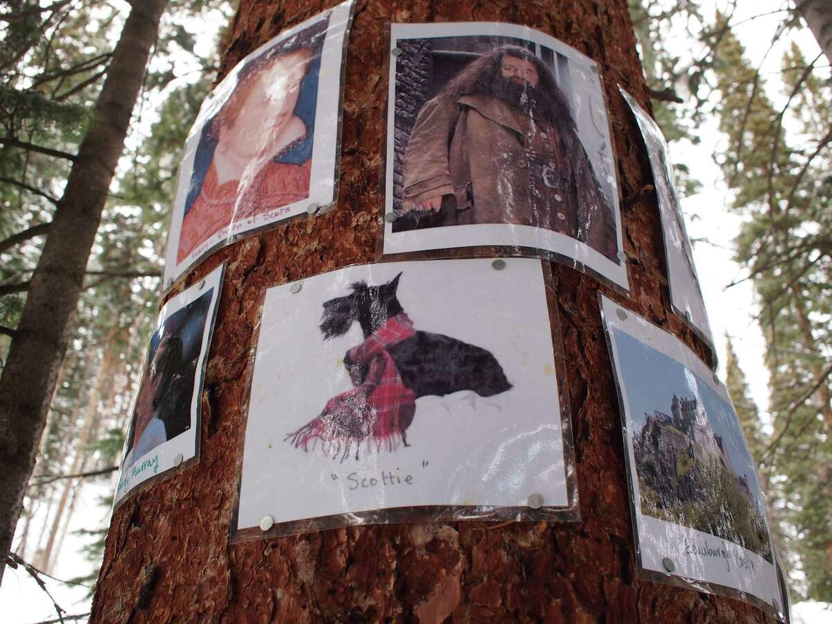Photos are tacked on trees at the Scottish shrine on Colorado's Aspen Mountain.