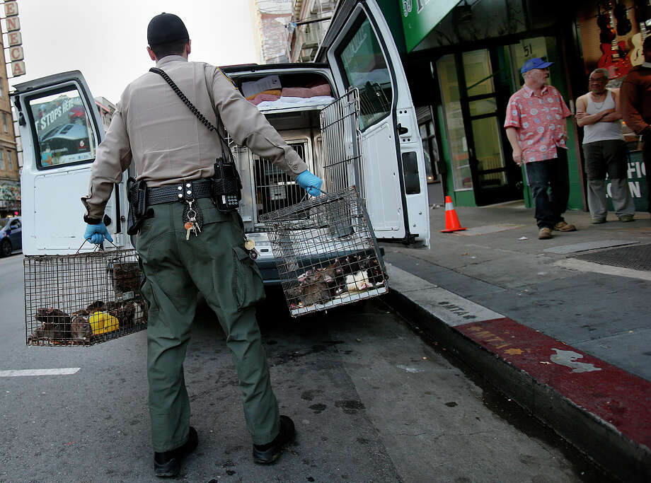 Essential Professions That Don t Pay Enough To Live In SF SFGate