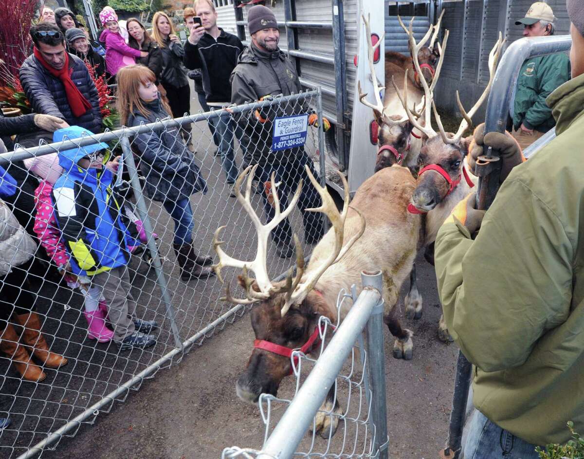 Greenwich Reindeer Festival And Santas Workshop