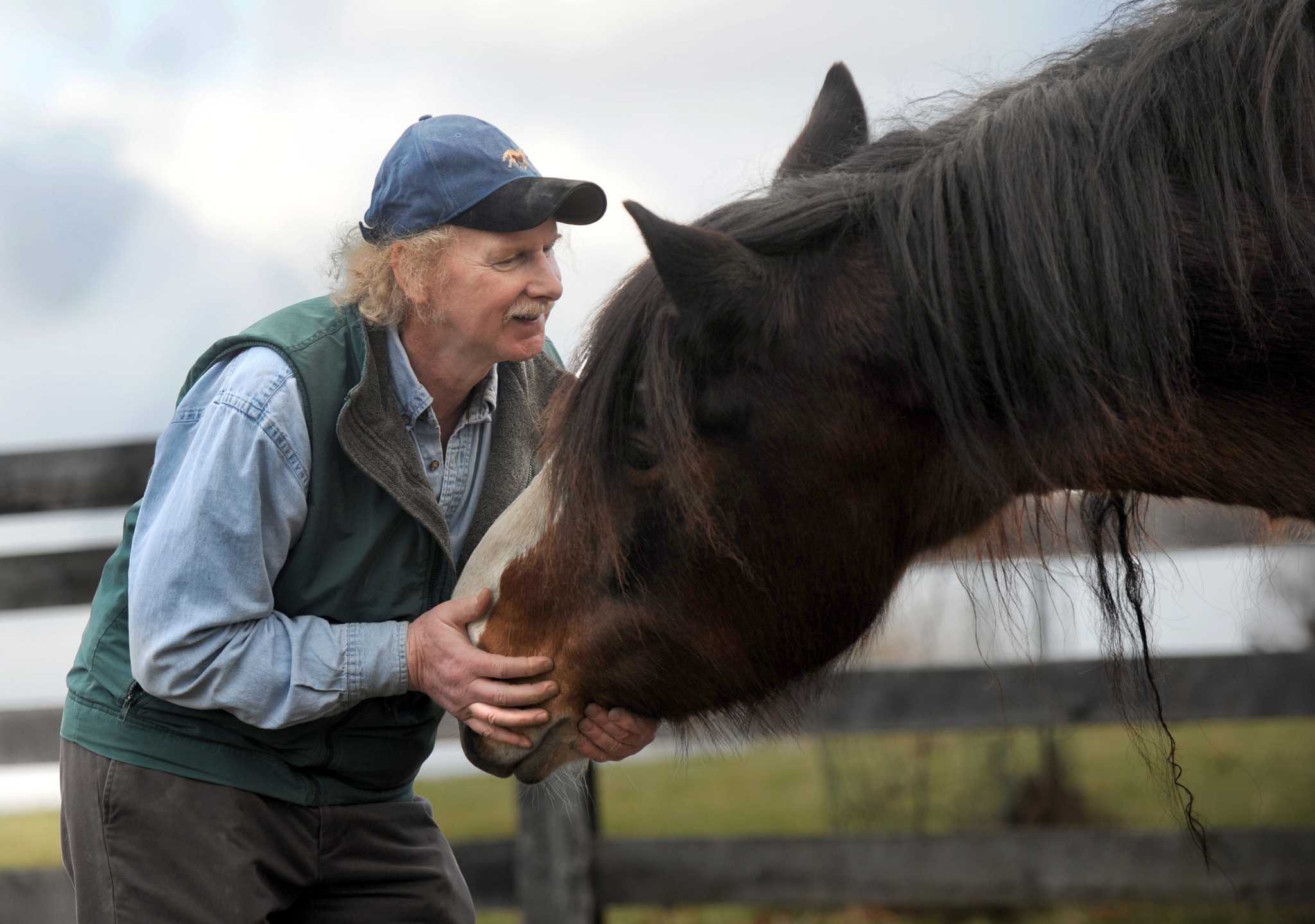 Local groups save horses from slaughter