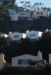 Little Boxes A Different Kind Of Painted Ladies