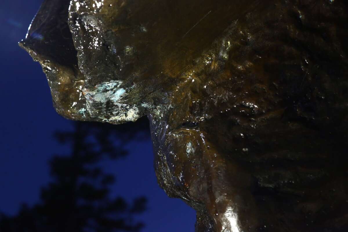 Detail of the scrape on the Martin Luther King Jr. statue in MacGregor Park, photographed Saturday evening. Houston police were called to the scene Friday night after the statue was damaged during what appeared to be an act of vandalism. A city park ranger doing routine checks around 11 p.m. noticed two men striking the $120,000 bronze statue with a metal object, according to city report. When the ranger approached the alleged vandals, they fled the scene. The report only describes the suspects as "two black males." Authorities believe they were teenagers.