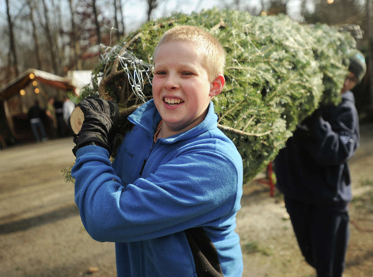 Boy Scouts hold Christmas tree sales