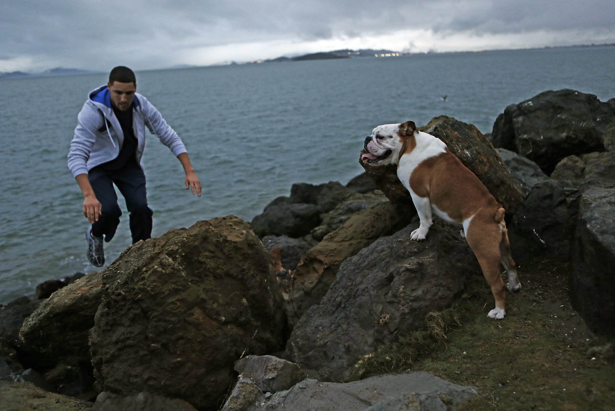 For Warriors’ Klay Thompson, time with dog is time well spent - SFGate2048 x 1368