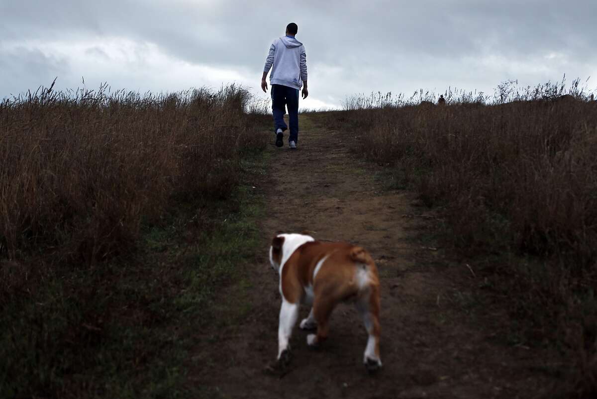 Golden State Warriors' Klay Thompson walks his dog, Rocco, at Cesar Chavez Park in Berkeley, Calif., on Wednesday, November 19, 2014.
