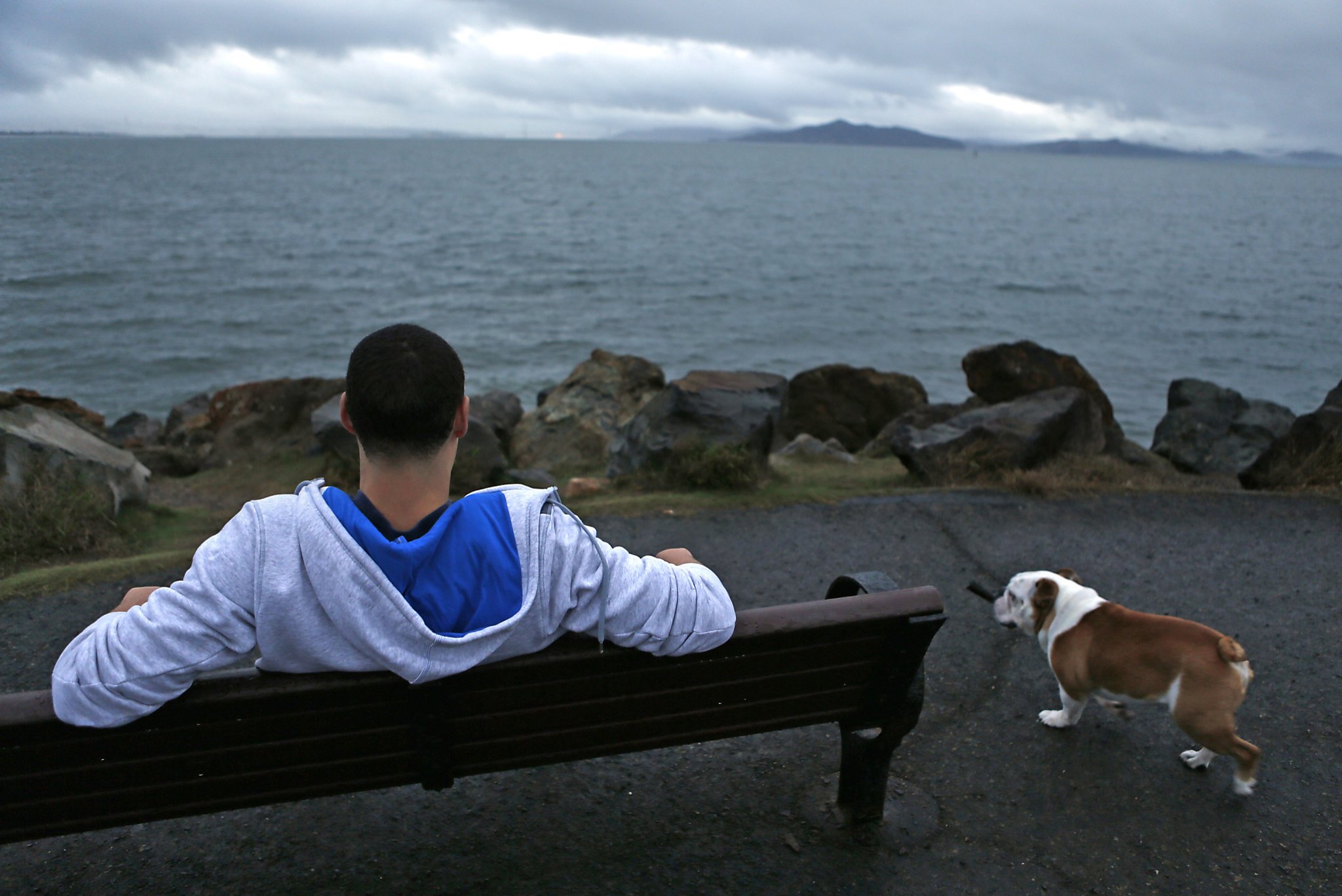 Klay Thompson's tribute shoes for his dog are the cutest thing you'll ever  see