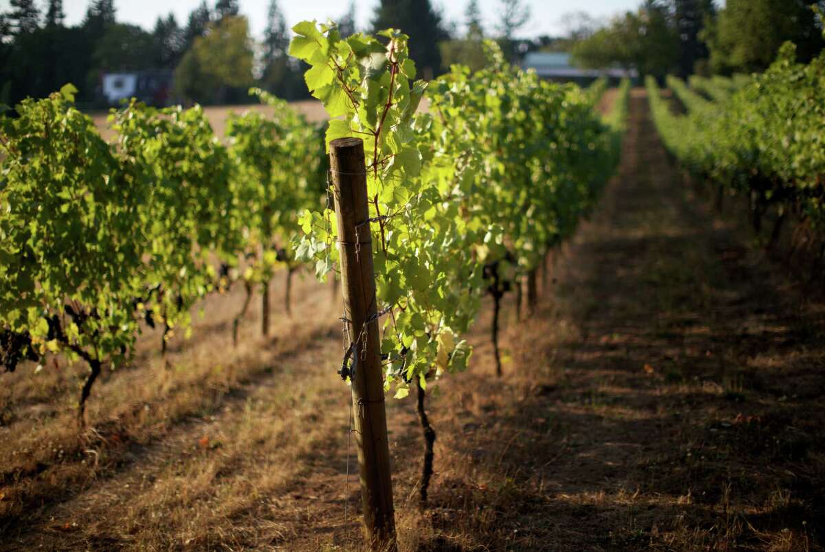 Top 100 Wines The Best of the West Coast in 2014
